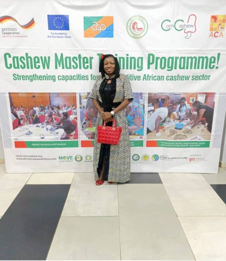 Conferences & Awards